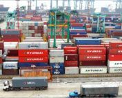 partes involucradas en una importación